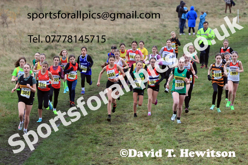 Girls Under-13s 2025 Start Fitness NEHL, Wrekenton, Gateshead, Sunday, November 23rd. Photo: David T. Hewitson/Sports for All Pics